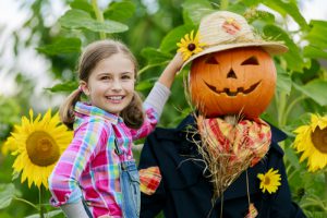 Festival of the scarecrows 2017